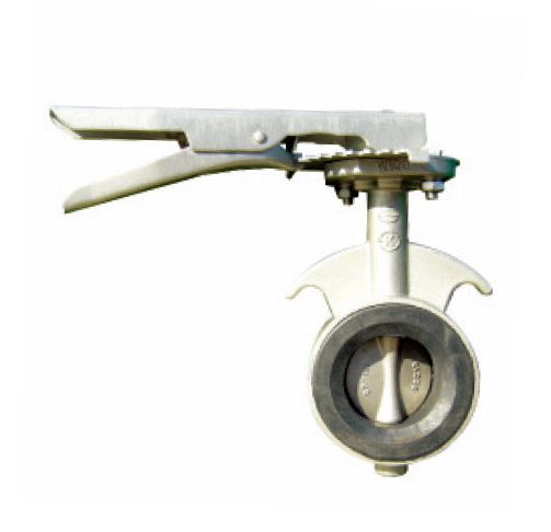 Butterfly Valve